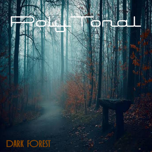 Dark Forest
