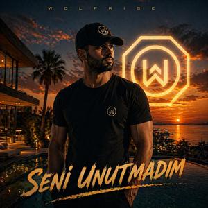 Seni Unutmadım