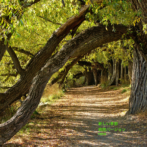 新しい季節 (病院バージョン)