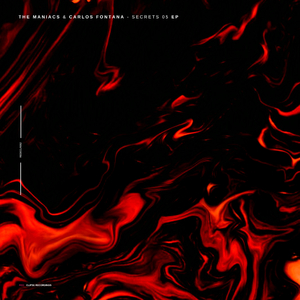 Secrets 05 (Original Mix)