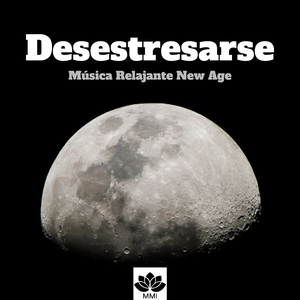 Reglamento Mente (Atención y Estudio, Enfoque) #3