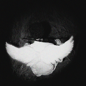 Llanto con Sabor a Vida