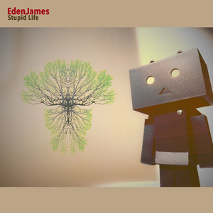 Stupid Life (Radio Edit)