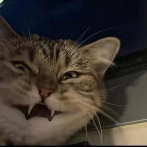 忘不掉的你完整版