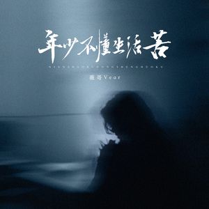 年少不懂生活苦（DJ版）