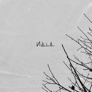 nulla (feat. Nvmb**17)