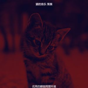 抚慰的放松的猫回忆