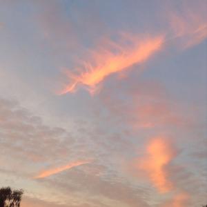 情绪安抚丨舒缓丨白噪音