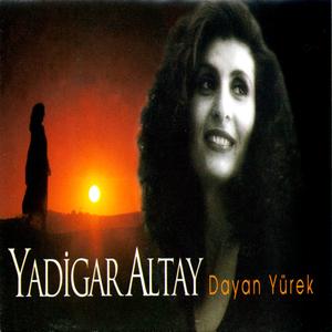 Ağalar Gurbetten Geldi