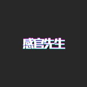 感官先生