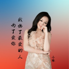 为了爱你伤了最爱我的人