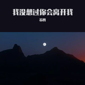 我没想过你会离开我（翻自 ing趴）