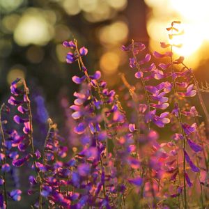 抚慰的安静的时光回忆