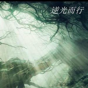 逆光而行——记月下桑《安息日》