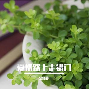 姑娘别活那么累