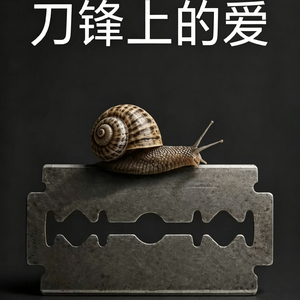 刀锋上的爱