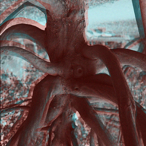 Carbon-Free Feelings