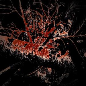 LOOK IT IN THE EYE (POKE IT IN THE NOSE) (feat. Hitman)