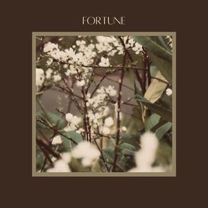 Fortune