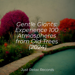 Lucid Moonlit Rhythms