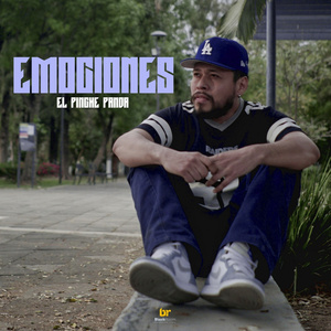 Emociones