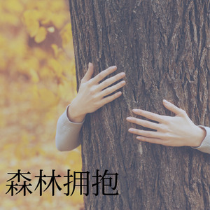 森林拥抱