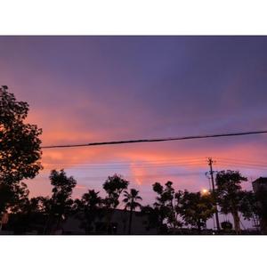 夏夜的草莓汽水