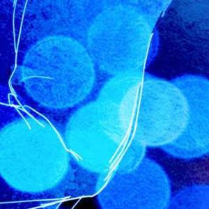 渐冷（抖音热榜）