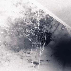 Void in Motion167