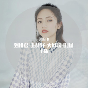 刘惜君-王赫野-大风吹-DJ国飞版