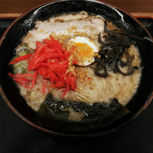 コロニーの夜に