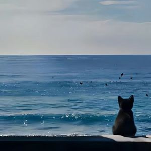 逆着风（逆着风 向前冲）