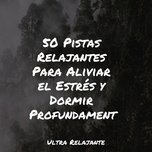 Perfección Después Del Anochecer