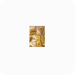 Listen