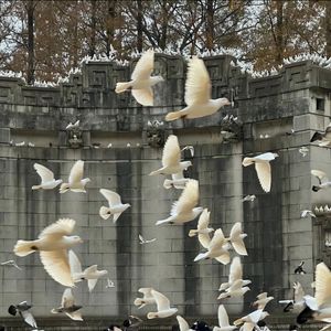 哪里都是你（Live)