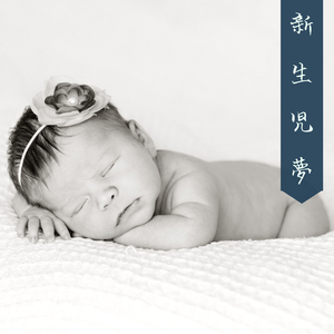 セレンディピティ