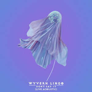 Don't Say It (Live Acoustic)