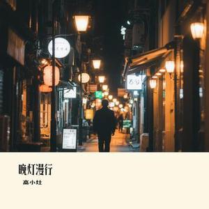 晚灯漫行