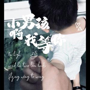 小男孩啊，我等你