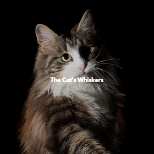 Background for Morning Boosters