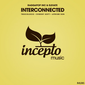 Interconnected (Evgeny Kott Remix)