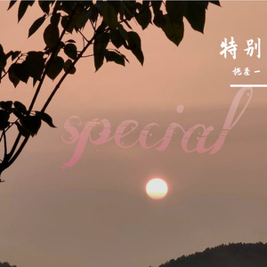 特别