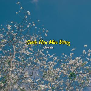 Bông Tuyết Vỡ Tan