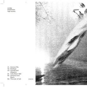 Orchids and Alligators