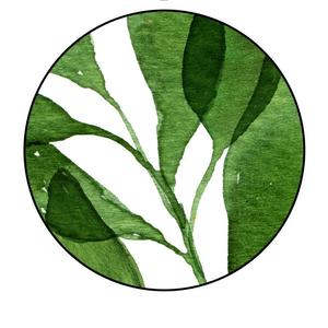 慕夏(cover:等什么君）