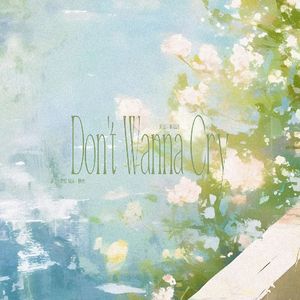 不想哭[中文填词]（翻自 SEVENTEEN）