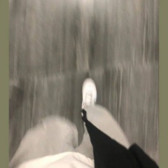 我知天高任鸟飞