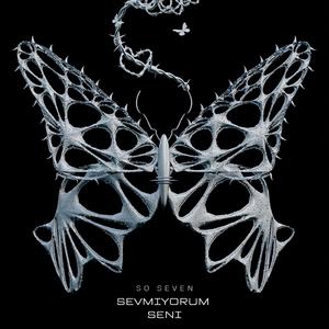 Sevmiyorum Seni