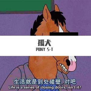孤犬. 伴奏