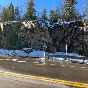Manitoba(Bison, Polar Bears, And Majestic Northern Lights Dotting The Horizon)